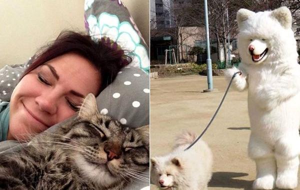 люди похожие на своих питомцев, животные копия хозяев