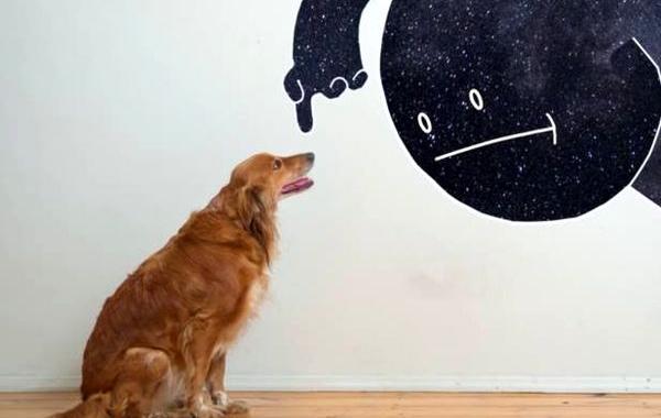 У Ночи выходной, Mr. Night has a day