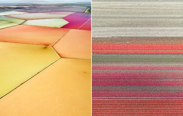 Дэвид Бердени, David Burdeny, снимки солончаков, фотографии полей тюльпанов