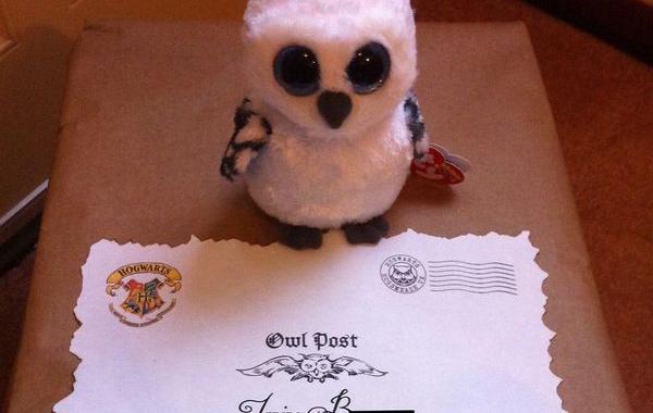 свадебный сюрприз в виде Омута памяти, омут памяти своими руками, свадебный сюрприз думоотвод