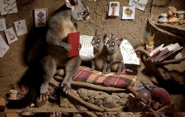 Алфавит смерти, короткометражка с чёрным юмором, короткометражка животные случайно убитые людьми