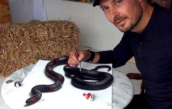 3D-рисунки, реалистичные объёмные рисунки, Стефан Пабст, Stefan Pabst