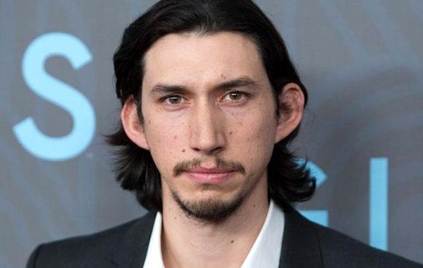 кошка Кайло Рен, кошка двойник Адама Драйвера, кошка похожая на Адама Драйвера, кошачий двойник Адама Драйвера