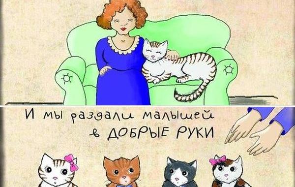 стерелизация животных, комикс о том как важно стерилизовать животных