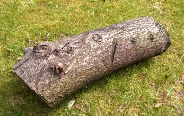 тайник из дерева, тайник своими руками. надёжный тайник