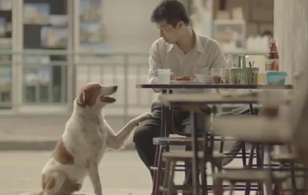 "Незаметный герой" - история, трогающая до слез