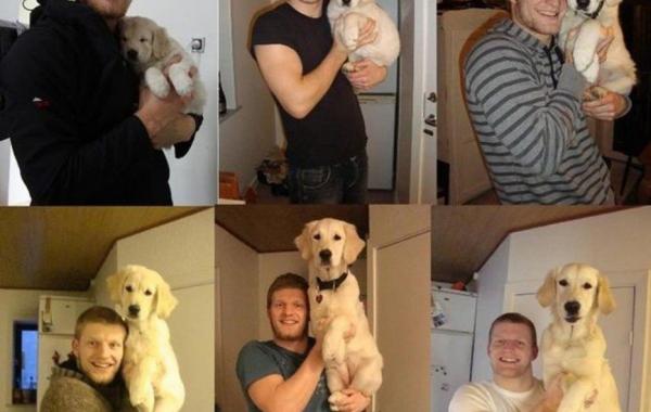 Фотографии питомцев вместе со своими хозяевами в стиле "тогда и сейчас"