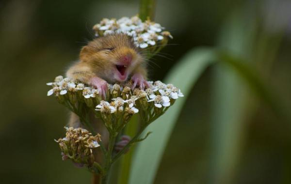 Лучшие фото года от журнала TwistedSifter