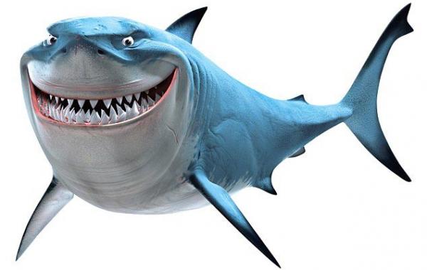 Брюс из в поисках Немо, настоящая акула из в поисках немо, самая счастливая акула, акула улыбается