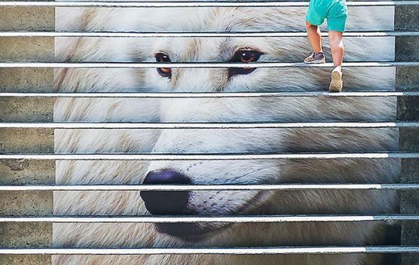 красивые лестницы, необычные лестницы 