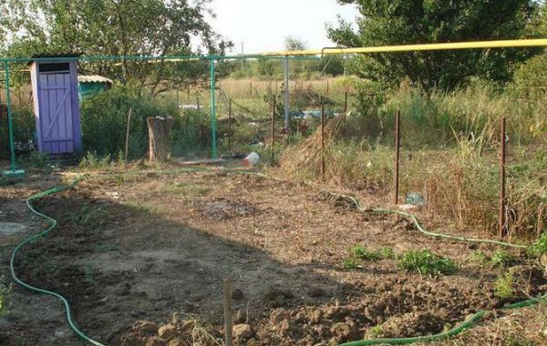 Строительство красивого голубого бассейна на дачном участке своими руками