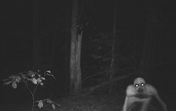 жуткие истории-страшилки из интернета