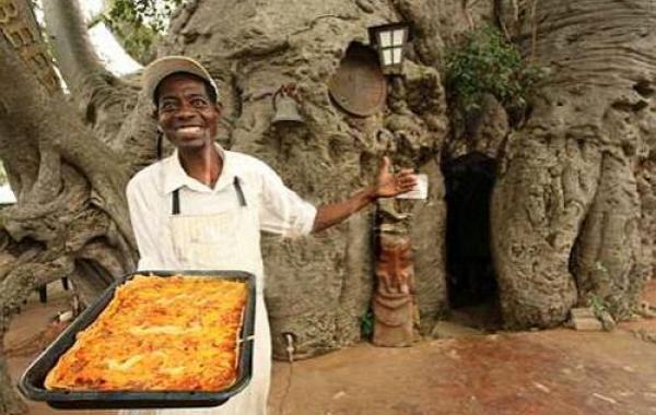 Добро пожаловать в баобаб ресторан в дереве 