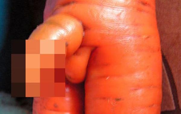 природа одержима пенисами, продукты в форме пенисов