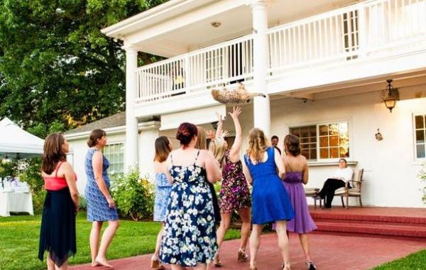 бросай кота, невесты бросают котов, Brides Throwing Cats