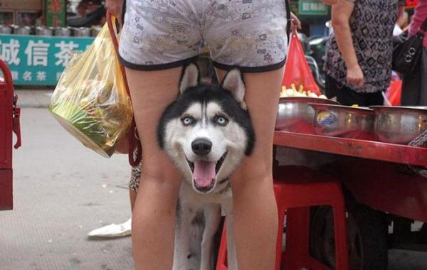 Тао Лю, Tao Liu, уличный фотограф китай, фотографии сделанные в нужный момент китай