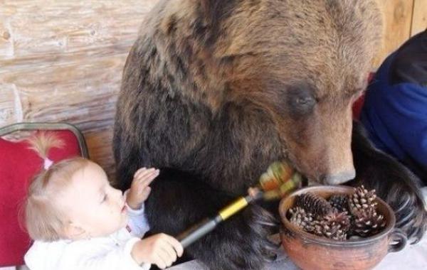 умом россию не понять, угадай страну, россия удивительная страна