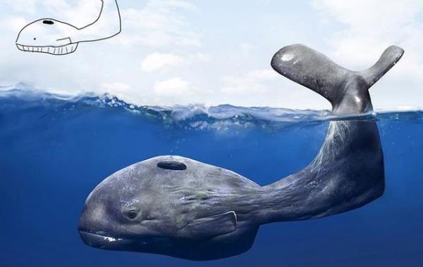 Перерисовывает свои детские рисунки, Тельпо Пипер Telmo Pieper