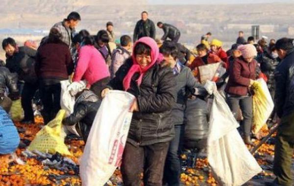 Перевернутый кузов грузовика - настоящий праздник для китайца