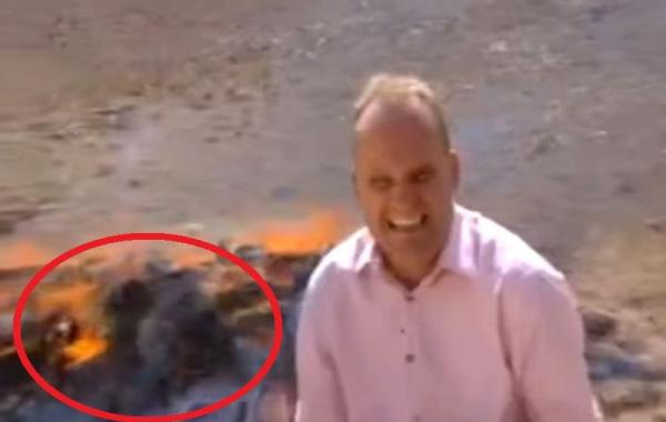 Квентин Соммервилл,Quentin Sommerville, не вдыхай видео, репортаж на фоне сжигаемых наркотиков, репортаж на фоне горящих наркотиков