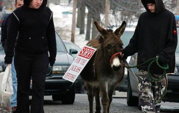 самые странные судебные приговоры, необычные аресты, необычные судебные приговоры