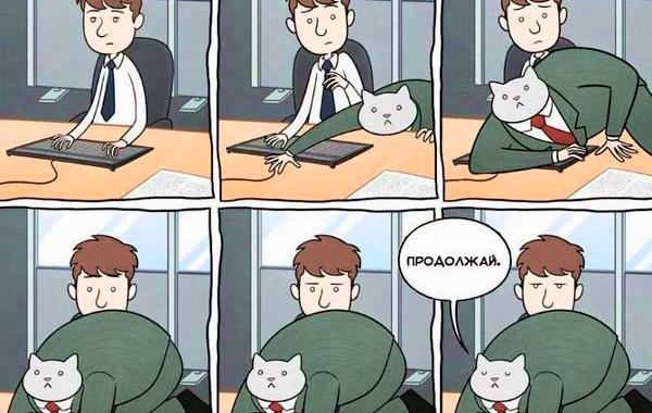 Приключения бизнес-кота, босс кот, Том фондер, Tom Fonder