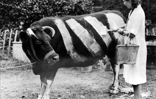 Исторические кадры, редкие архивные фотографии, исторические события, редкие фото звёзд