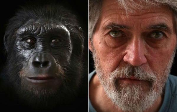 6 млн лет эволюции лица человека за 1,5 минуты, из обезьяны в человека, эволюция из обезьяны в человека видео