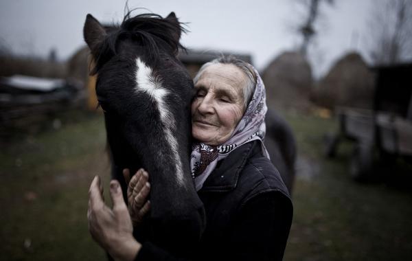 Победители фотоконкурса Sony World Photography Awards 2014