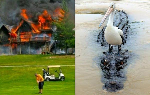 пофигисты, люди которым всё равно, им пофиг, так выглядит безразличие