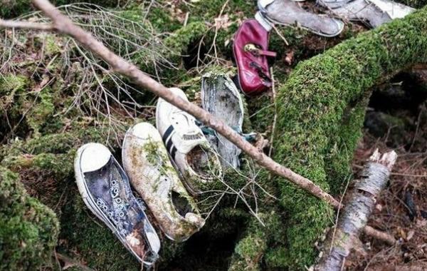Аокигахара Дзюкай, японский лес самоубийц, Aokigahara