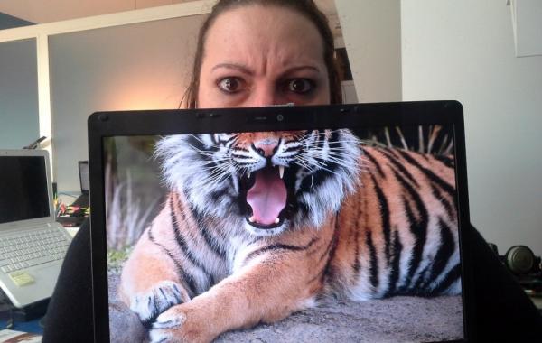 Сотрудники офиса, создают смешные гибриды людей и животных при помощи монитора