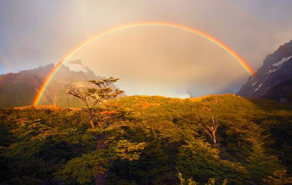 Пейзажи Йена Планта