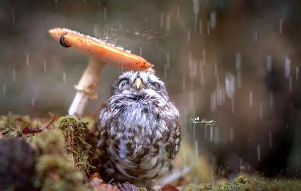 без фотошопа, снимки сделанные без использования фотошопа, мозговзрывательные фотографии 