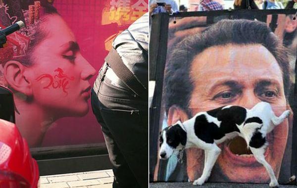 фотографии сделанные в нужный момент