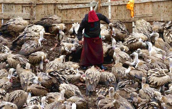 странные похоронные обряды, пугающие похоронные традиции