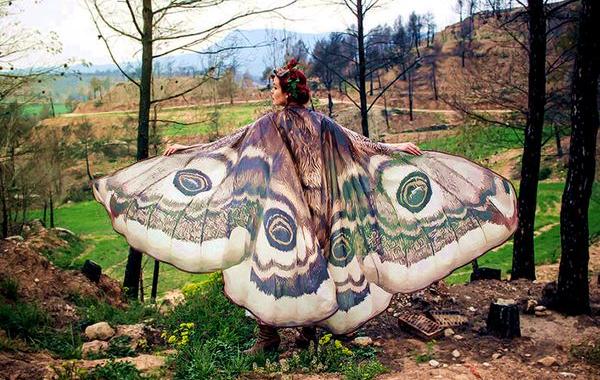 шарф с крыльями бабочек, шары в виде крыльев бабочек