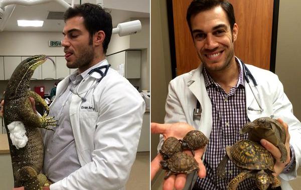 горячий ветеринар, красивый ветеринар