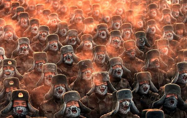 Коллекция лучших фотографий от Getty Images за 2013 год