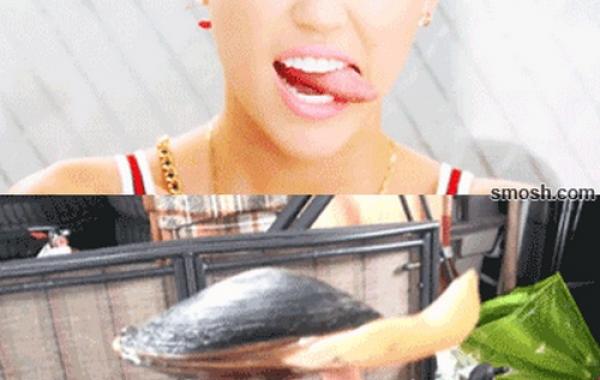 Смешная анимация, гифки, gif