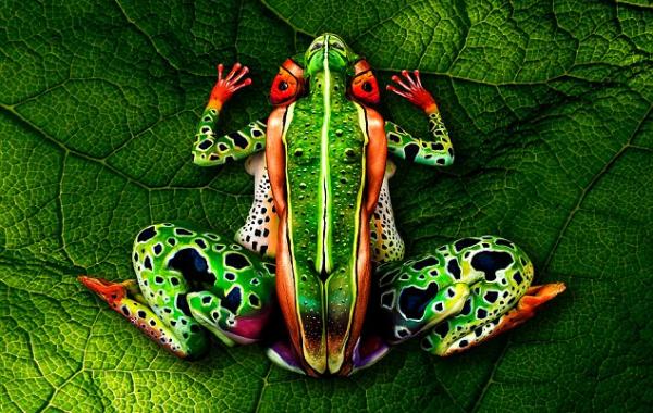 Реалистичный боди-арт художника Йоханнес Стоеттер под фрукты, животных, 