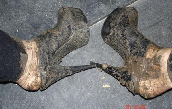 это россия детка, умом россию не понять, тем временем в России 