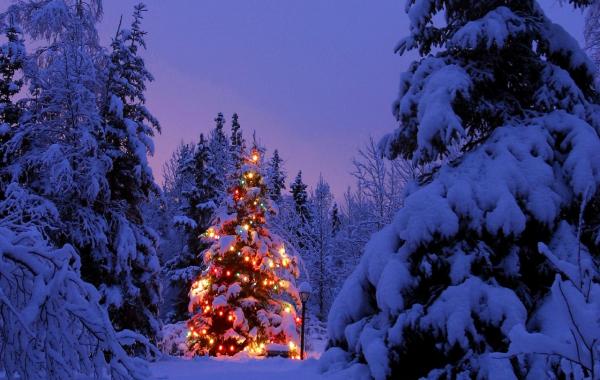 Новогоднее настроение в коллекции сказочных фотографий, новый год
