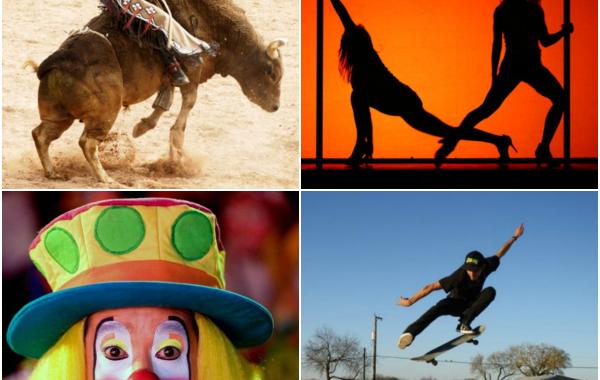 14 необычных профессий, за которые за рубежом платят гораздо больше, чем вам