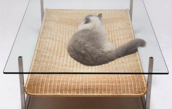 Самые удивительные и необычные вещи