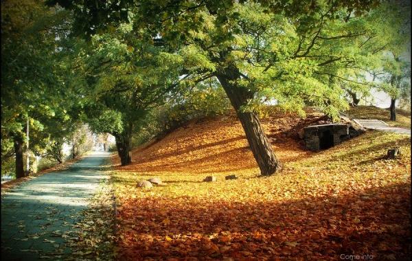 Красивые фото природы