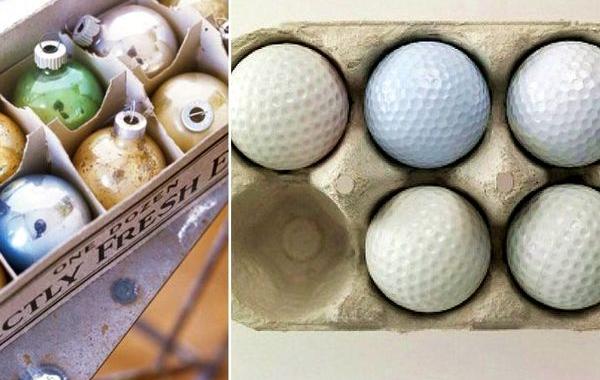 как использовать пищевые отходы, идеи по использованию отходов