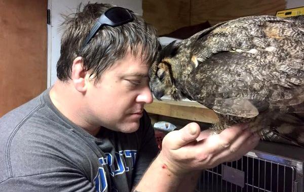 Сова обняла человека спасшего её, сова Джиджи