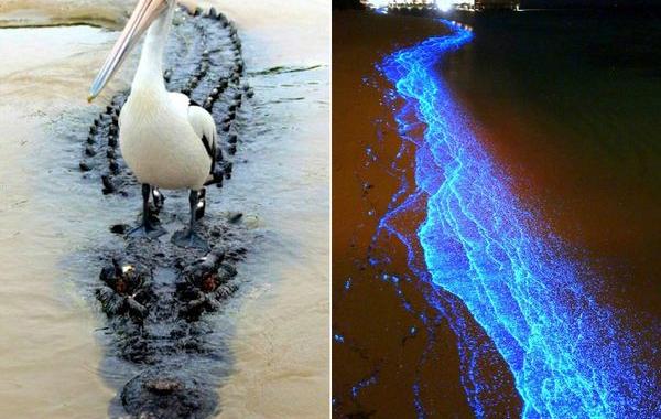 удивительные фотографии, познавательные фото