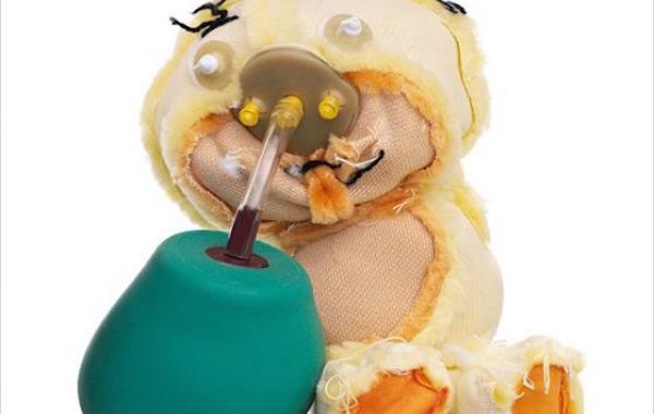 плюшевые медведи вывернутые наизнанку, игрушки вывернутые наизнанку, Кент Роговски, Kent Rogowski